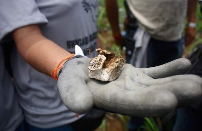 Pedazos De Madera Y Restos Animales Dice La Fiscalía De Veracruz Que Son Los Restos Hallados Por Los Buscadores En Amatlán Veracruz Foto Blogexpediente