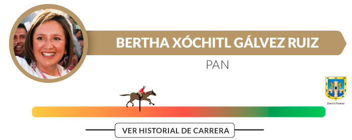 Bertha-Xóchitl-Gálvez-Ruiz