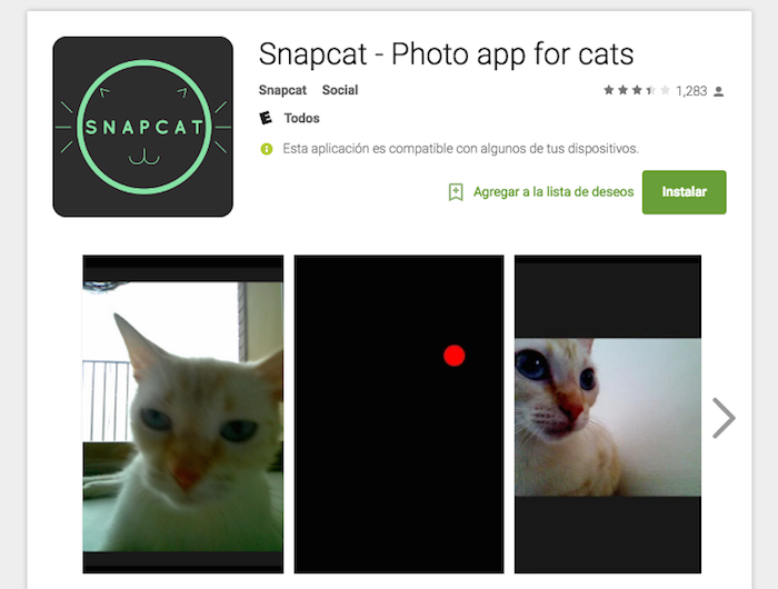 Snapcat