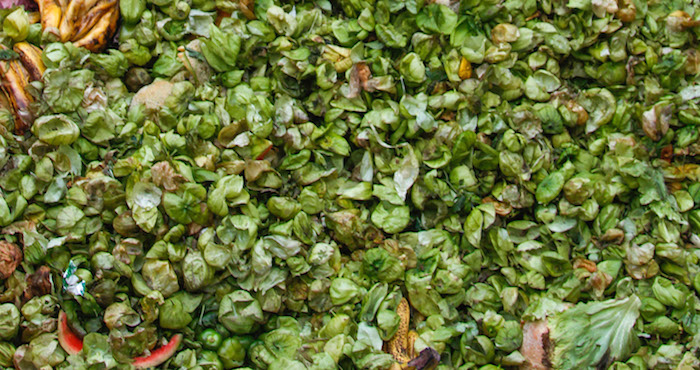 Basura Orgánica Desechos Que Podrían Dejar Ganancias Foto Cuartoscuro