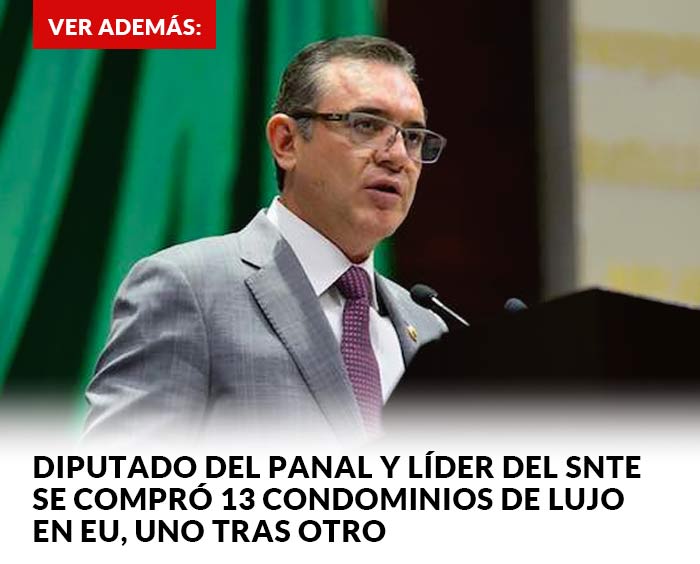 Diputado