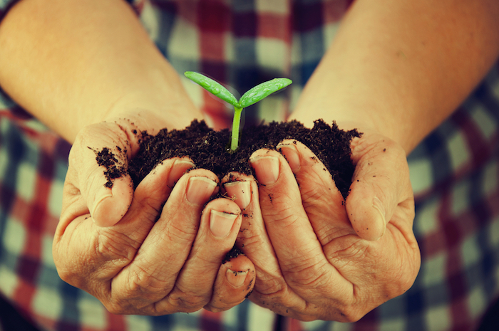 Agroserou Foto: Shutterstock.