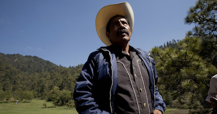 Ildefonso Zamora, padre de Aldo Zamora, asesinado por talamontes, durante un recorrido con Greenpeace por el parque nacional lagunas de Zempoala, al cumplirse el primer aniversario luctuoso de Aldo. 15/05/2008. Foto: Greenpeace.