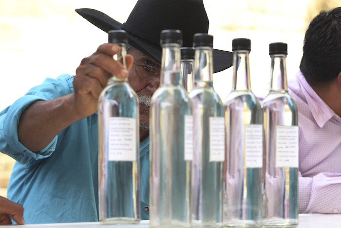 Productores de mezcal silvestre de Oaxaca. Foto Cuartoscuro