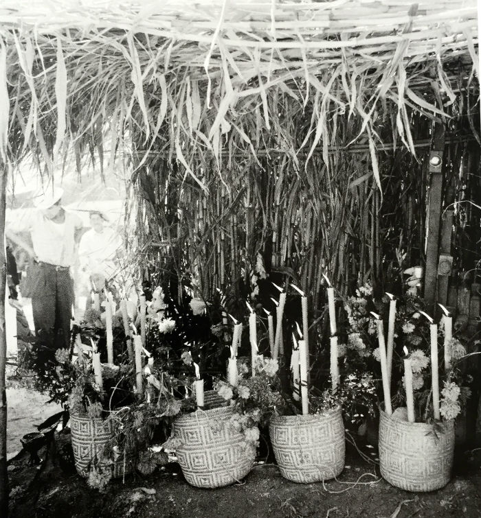 Ofrendas De Muertos Foto Ruth Lechuga artes De México