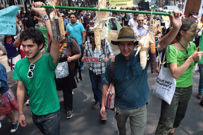 De acuerdo con una de las activistas, se necesitan políticas públicas que impulsen otro modelo de producción. Foto: SinEmbargo