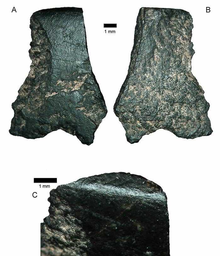 Imagen Cedida Hoy De Mayo De De Fragmentos De Una Herramienta De Mil Años De Antigüedad Vistos a Través De Un Microscopio El Elemento Fue Descubierto En La Remota Región De Kimberley Australia Occidental La Profesora De La Universidad Nacional De Australia anu La Arqueóloga Sue O'Connor, que descubrió la herramienta, dijo que era más de 10.000 años mayor que cualquier descubrimiento anterior del mismo tipo. Foto: EFE