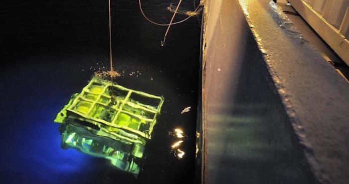 Una Fotografía Proporcionada Por El Deep Ocean Search Ltd dos En El Día De Hoy Muestra Al Robot De Buceo Del Buque De Búsqueda sv John Lethbridge En Un Lugar Desconocido Foto Efe