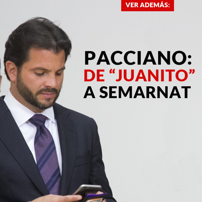 Pacciano promo