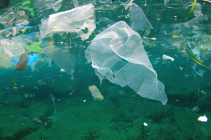 Activistas califical al plástico como un "invento moderno" que se consume en 15 minutos y se queda en el ambiente por décadas. Foto: Shutterstock