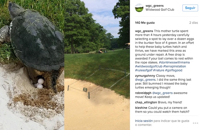 La Foto Que Tomo El Campo De Golf De La Tortuga Foto Instagram Wildwood Golf Club