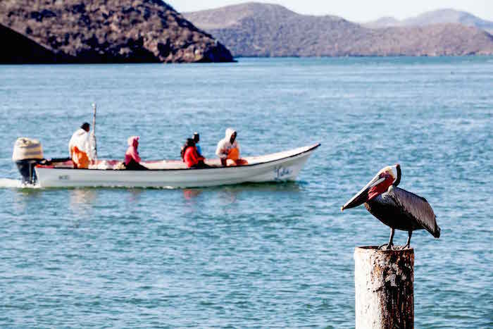 Activistas luchan legalmente en contra de la planta de amónico que podría dañar el área natural. Foto: Noroeste