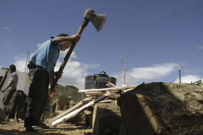 El principal sector de actividad en el que estás inmersos los niños es el agropecuario. Foto: Cuartoscuro/Archivo. 