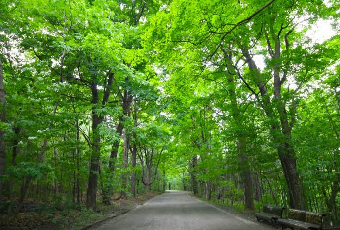 Montreal Es Una De Esas Ciudades Babel Donde Se Mezclan Todas Las Razas Y Todas Las Lenguas Foto Grandquebec