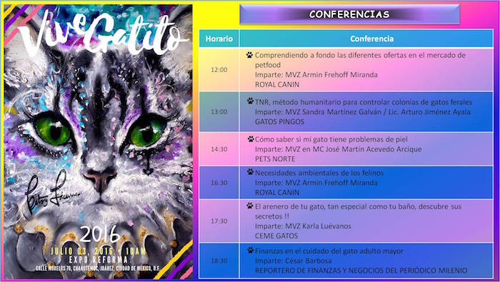 Programa Completo De Las Conferencias En Vive Gatito Imagen Especial