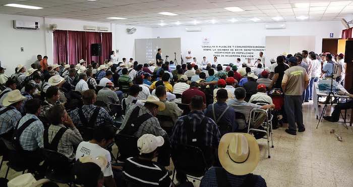 Monsanto debe mantenerse completamente alejada del proceso de consulta: ONG's. Foto: Archivo MO.