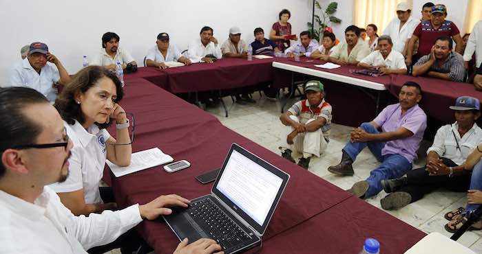 Según las ONG's, las irregularidades evidencian que los principios mandatados por la sentencia de la SCJN fueron vulnerados por las dependencias responsables del proceso y por Monsanto. Foto: Archivo MO. 