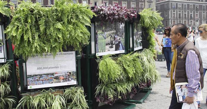 Personas Visitan El Gran Huerto Que Se Instaló En La Plancha Del Zócalo Capitalino Donde Enseñan a La Gente a Cultivar Diferentes Plantas Como Lechuga Jitomate Epazote Cilantro Chile Entre Otras Cosas Foto Cuartoscuro