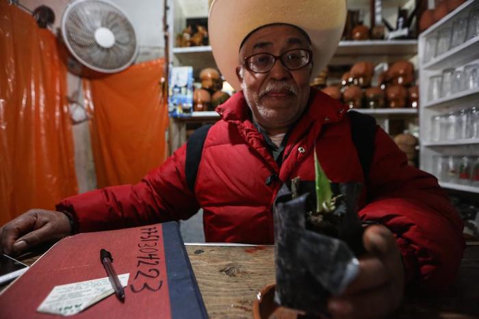 Don Andy y su maguey de ornato. Foto: Daliri Oropeza, Vice