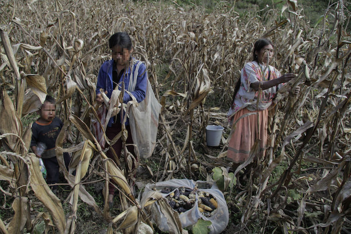 La pobreza en México persiste, pero el Inegi ha decidido cambiar la forma de medirla. Foto: Cuartoscuro