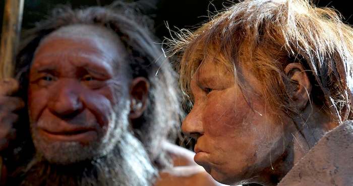 Reconstrucción de una mujer y de un hombre neandertales en el Neanderthal Museum of Mettmann, en Alemania. Foto: Efe