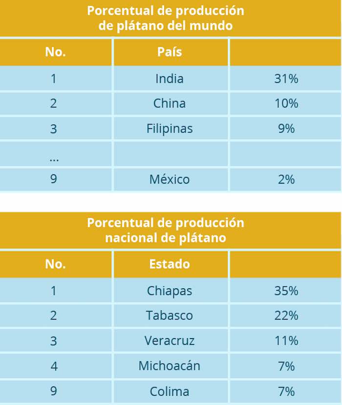 Foto: Servicio de Información Agroalimentaria  y Pesquera (SIAP).