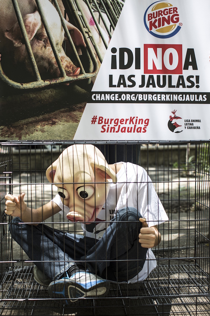 Protesta Burger King. Foto: Fórum Nacional de Proteção e Defesa Animal FNPDA