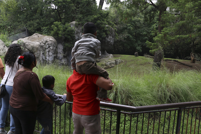 Familias Visitan El Zoológico De Chapultepec Con Fines Recreativos Foto Cuartoscuro