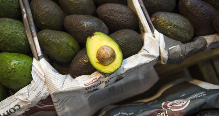 Los árboles De Aguacate Crecen Más O Menos a La Misma Altitud Y Clima Que Los Bosques De Pino Y Abeto En El Estado De Michoacán El Principal Productor De Ese Fruto En México Foto Ap