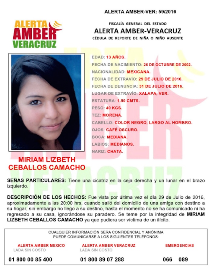 La Fiscalía Comenzó a Difundir Desde El Lunes La Alerta Amber Para Localizar a La Menor En La Que Alerta Que Si Vida Podría Estar En Riesgo Foto Twitter fge veracruz