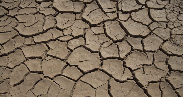 Un Terreno Agrietado Por La Sequía En Hakskeenpan Sudáfrica Efearchivo