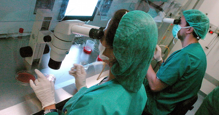 Biólogos del Instituto Valenciano de Infertilidad (IVI), trabajan en el laboratorio. Foto: EFE/Manuel Bruque