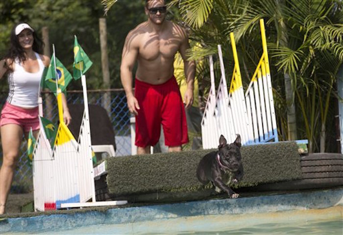 El can "Zaia" compite en la prueba de zambullida ante la vista de sus amos.   Foto: AP/Silvia Izquierdo