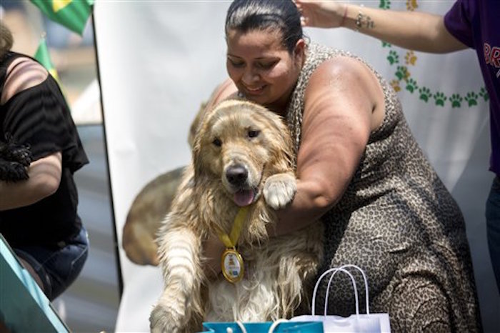 El can "Shimbalaie" ganó la medalla de oro en nado sincronizado. Foto: AP/Silvia Izquierdo