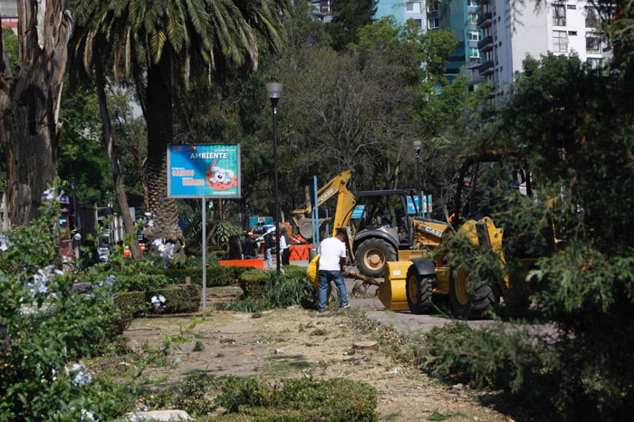 Así lucía el camellón de la avenida Río Mixcoac, cuando las máquinas tiraron los primeros árboles para construir un túnel vehicular. Foto: Catalina Pérez, VICE News