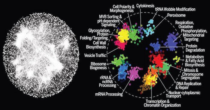 La Diversidad Genética Va Unida a La Capacidad De Adaptarse a Los Cambios Foto sciencemagazine