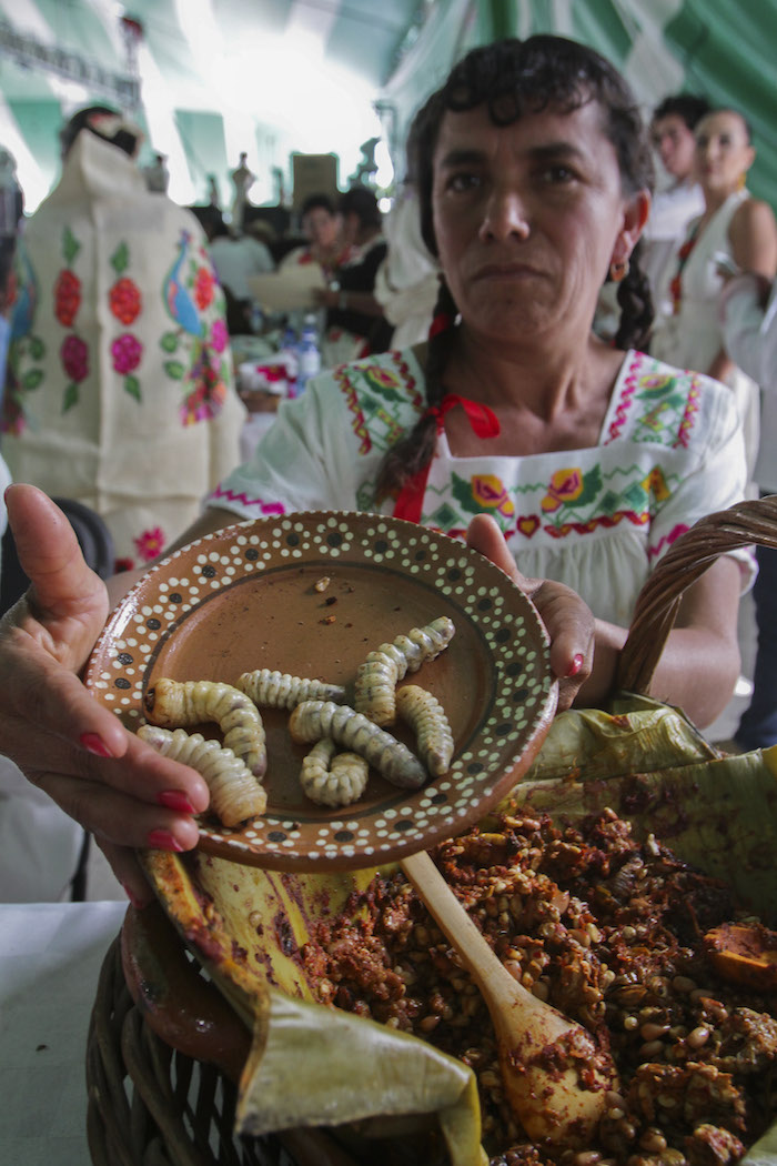  Feria Gastronómica en el estado de Hidalgo  /CUARTOSCURO.COM