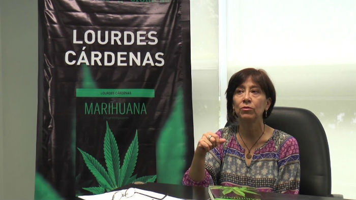 Lourdes Cárdenas, periodista mexicana radicada en El Paso, Texas. Foto: YouTube