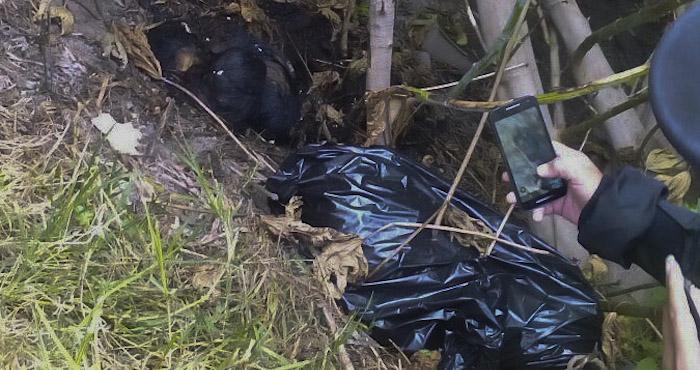 Los Cuerpos De Un Mujer Y Dos Menores Fueron Localizados Al Interior De Bolsas De Plástico Sobre La Calle Henry Ford Y Av Del Canal En La Colonia Parque Industria Cuamantla Foto Cuartoscuro