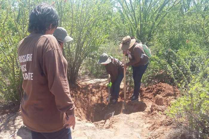 Las Rastreadoras Encuentran Seis Cadáveres En Una Fosa Clandestina Foto Noroeste