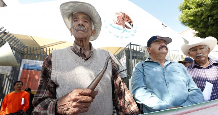 Manuel Becerra Empuña Un Azadón Como El Que Utilizaba Cuando Era lechuguero En El Programa Bracero Foto Aurelia Venturala Opinión