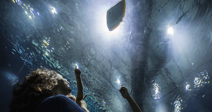 Aquario En Río De Janeiro brasil Foto Efeantonio Lacerda