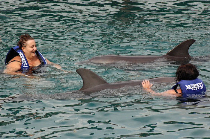 En 2009, el parque ecológico Xcaret ubicado a unos 80 kilómetros de Cancún y la empresa Delphinus obtuvieron un récord Guinness por tener el mayor número de nacimientos de crías de delfín a lo largo de un año en un solo delfinario, con once. Foto: Cuartoscuro.