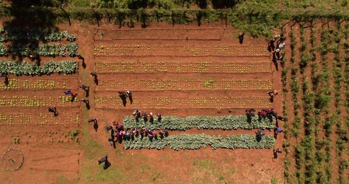 Vista De La Escuela Maricevich En La Que Los Alumnos Aprenden a Cultivar En La Huerta Comunitaria Fotografía De Juan Carlos Meza Globalvoices