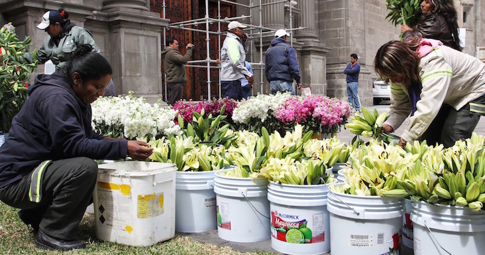 Vendedores de orquídeas en la Basílica de Guadalupe. Foto: Cuartoscuro.