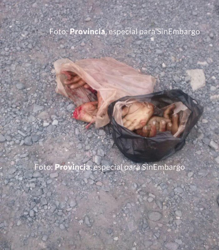 Foto: Provincia