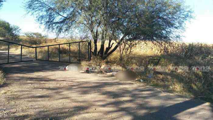 Habitantes De Pénjamo Encontraron Restos Humanos En Cinco Bolsas Negras Foto Zona Franca