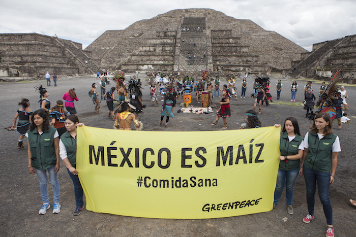 ChemChina y Syngenta acordaron fusionarse, lo mismo ocurrió con DowAgro y Dupont, ahora Bayer-Monsanto. La industria busca fortalecer el control de nuestros alimentos. Foto: Greenpeace