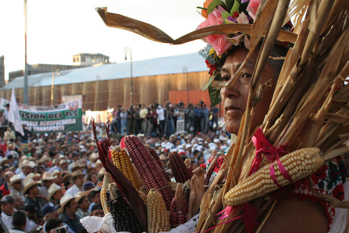 Hoy en día, el 60 por ciento de las tierras siguen en manos de los ejidatarios. Foto: Cuartoscuro 