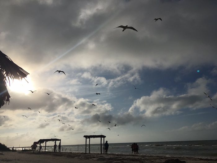 Una Vista Cualquiera En Holbox Foto Mundano Sinembargo